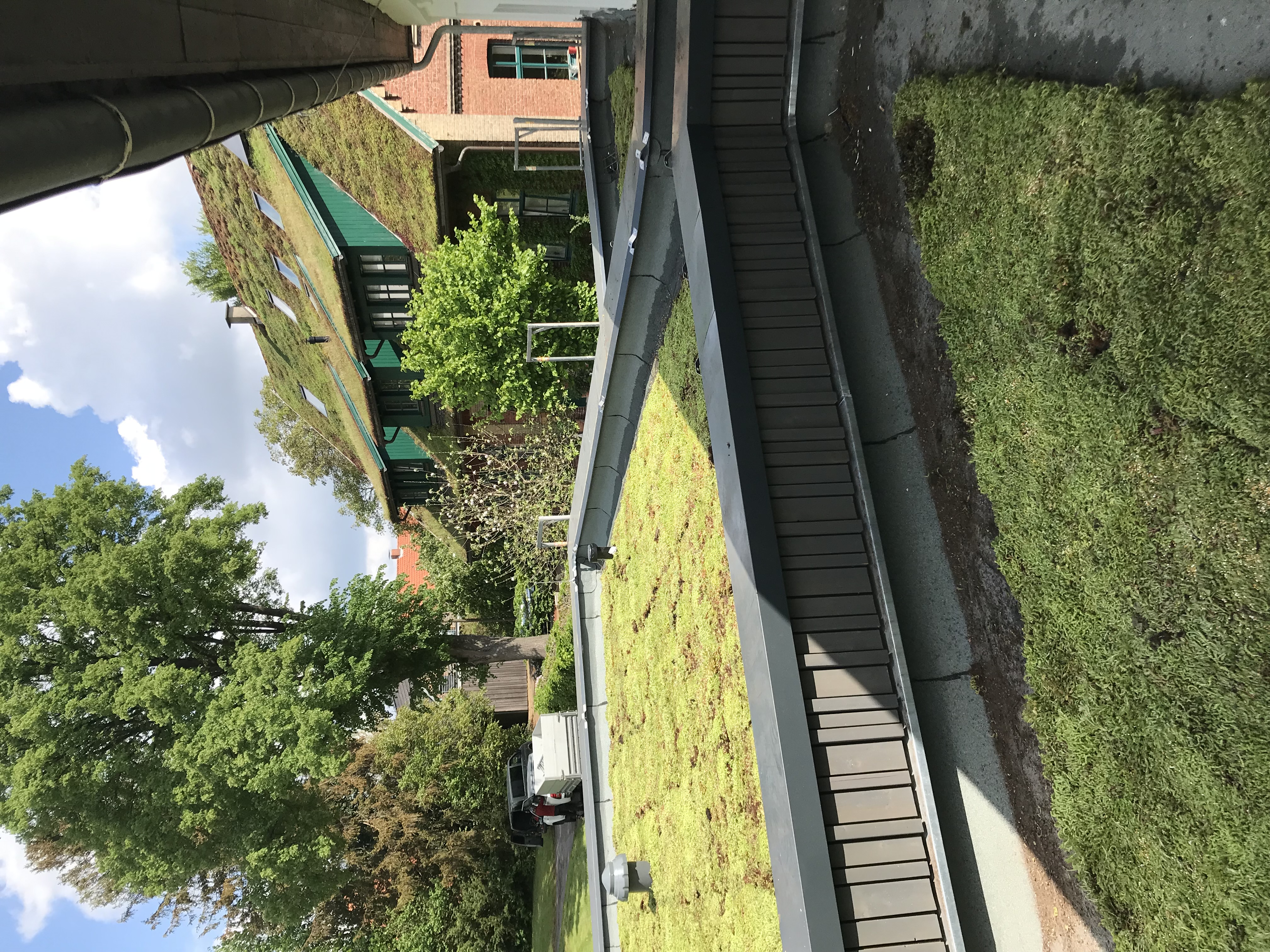 Dachbegrünung